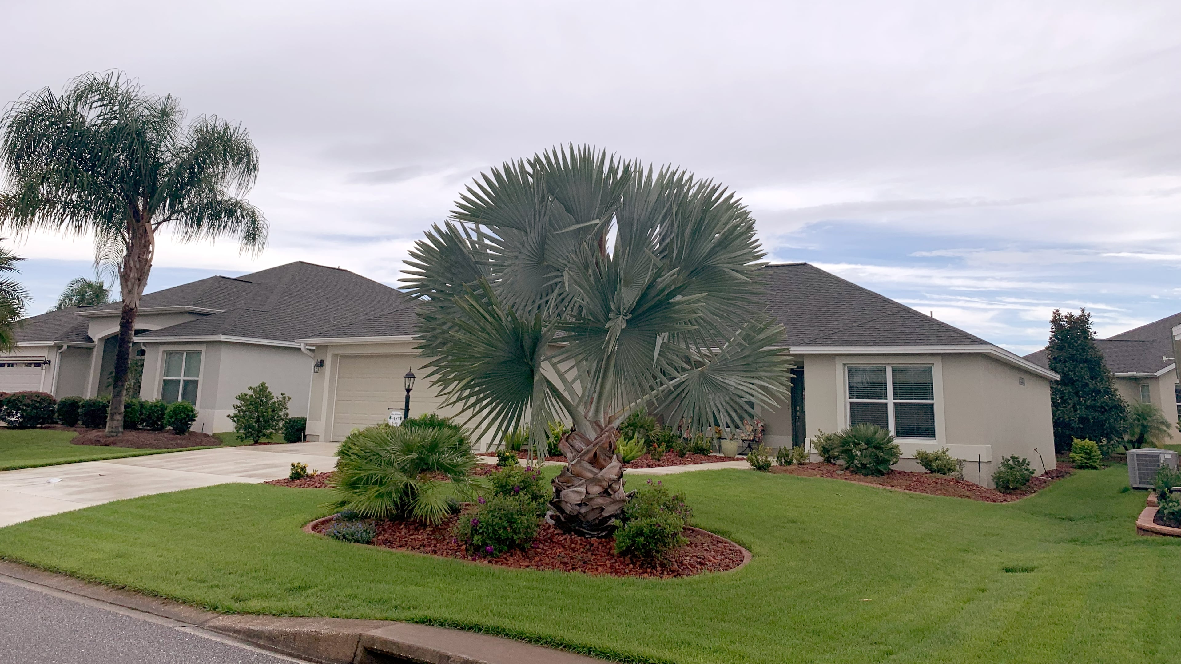 Landscape Project Gallery