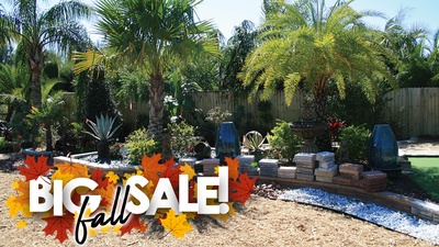 Fall Landscaping Savings: 15% OFF ALL NURSERY PURCHASES!