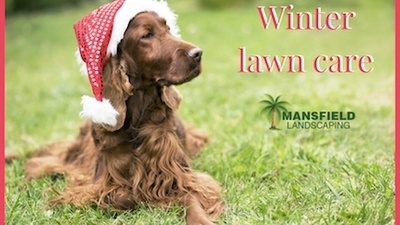 Lawn Care During Winter.