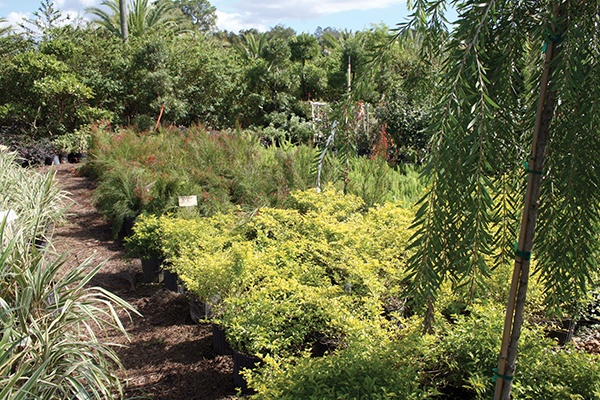 Mansfield Landscaping