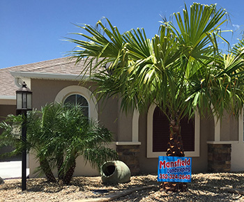 Favorite Palm Trees Of Central Florida Favorite Palm Trees Of Central Florida