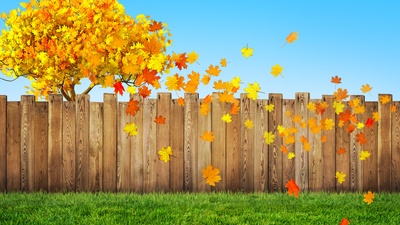 Paint your landscape with Autumn colors.