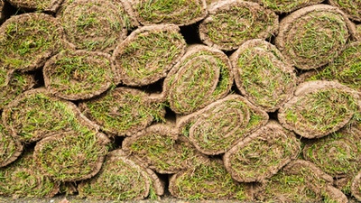 Resodding Your Lawn