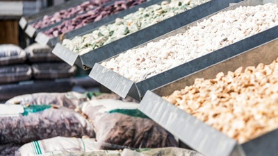 Rock Mulch vs. Wood Mulch: Which is the right choice for you?
