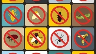 Top Tips for Keeping Pests Out of Your Landscaping