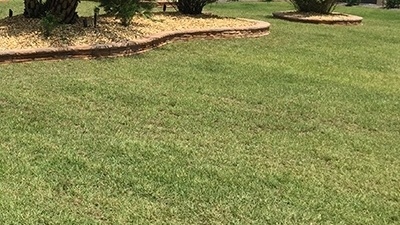 What do I need to do to prep my Florida lawn this spring?