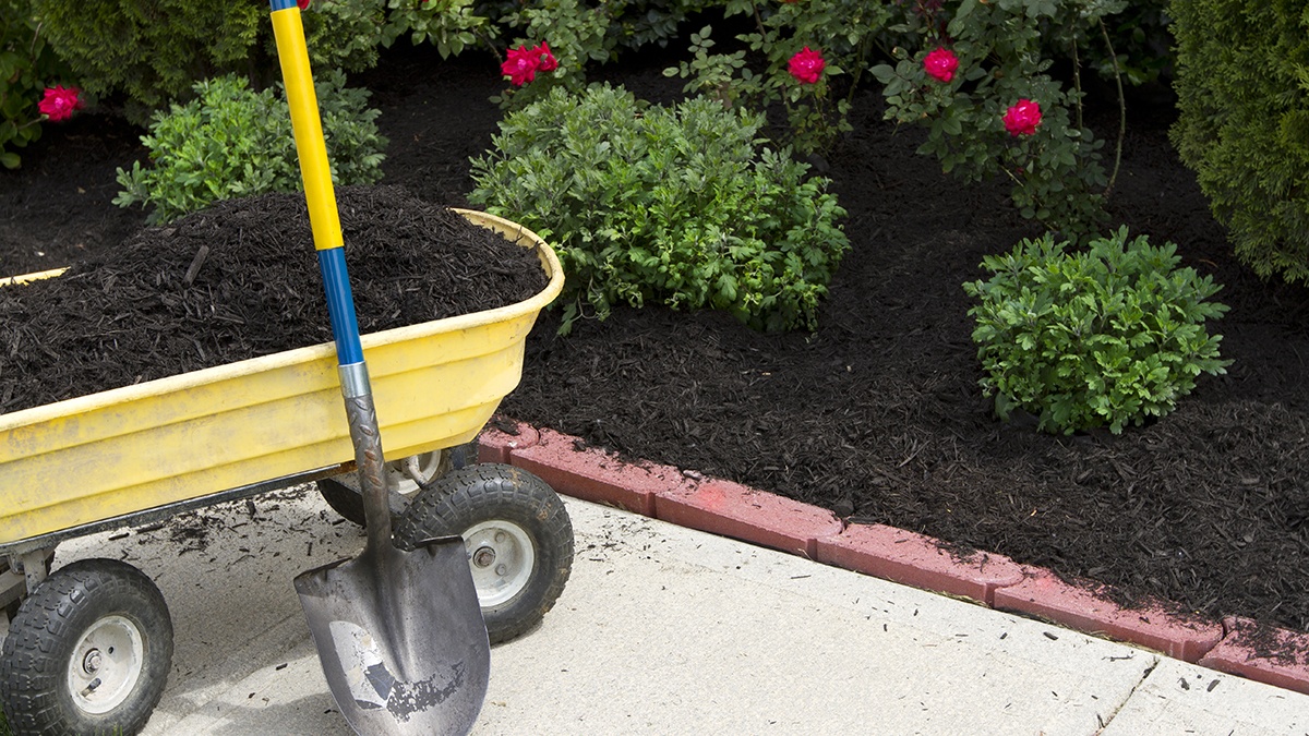 What's the best ecofriendly mulch?