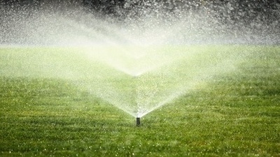 When and for how long should I irrigate my St. Augustine Grass