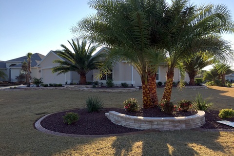 Frontyards #5