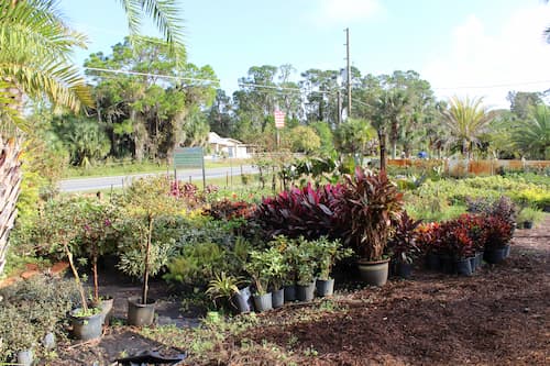 landscape showroom nursery florida