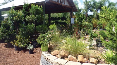 About Us Mansfield Landscaping, How Much Do Landscapers Make An Hour In Florida